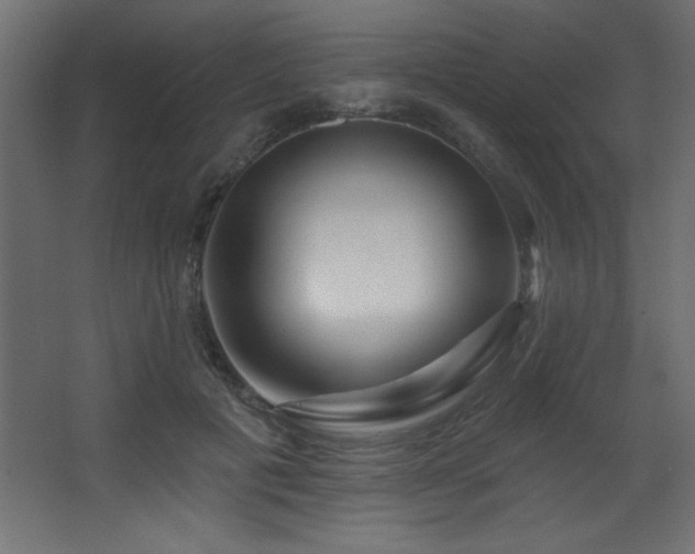 X0000068290601200604211139