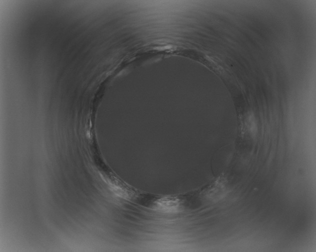 X0000068290606200604211139
