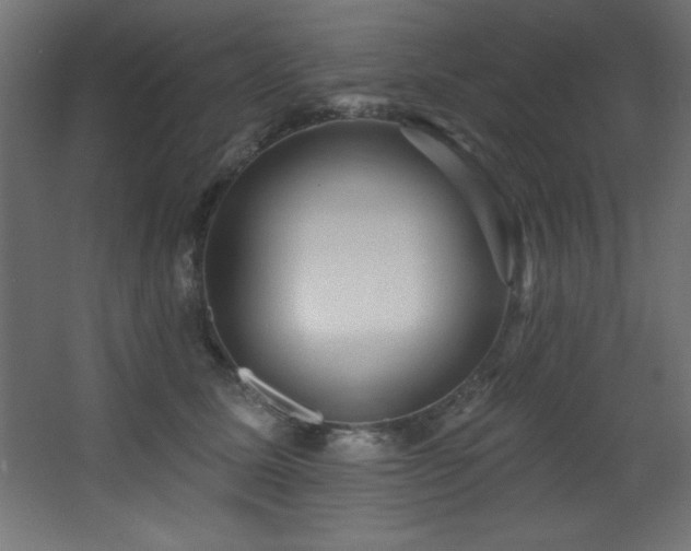 X0000068290611200604211139