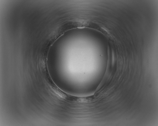 X0000068290613200604211139