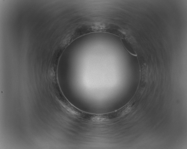 X0000068290614200604211139