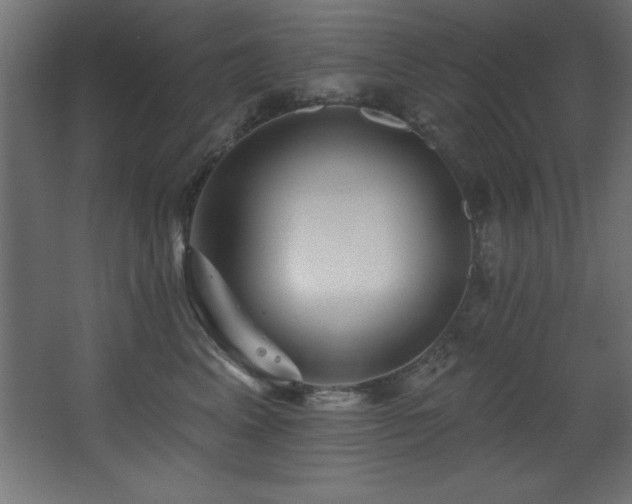 X0000068290617200604211139