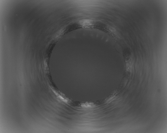 X0000068290618200604211139