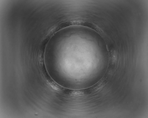 X0000068290619200604211139