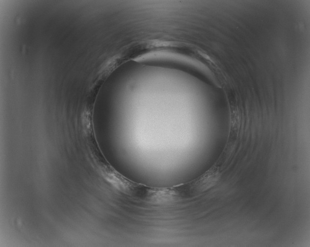 X0000068290621200604211138