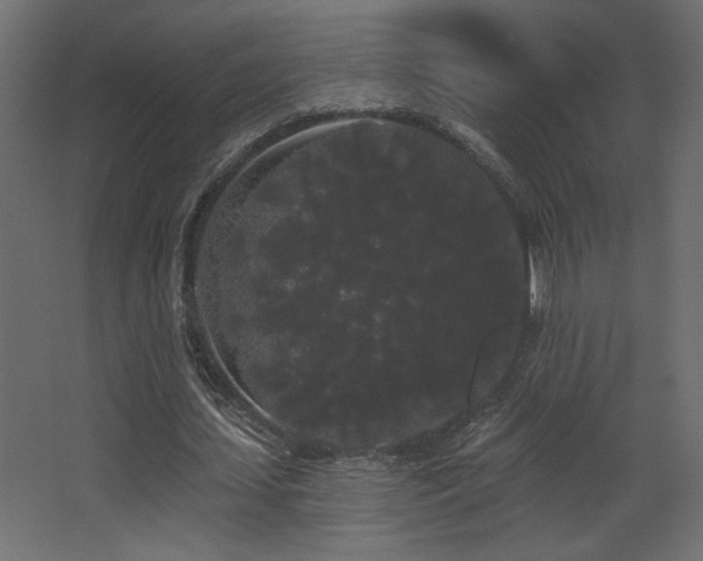 X0000068290627200604211138