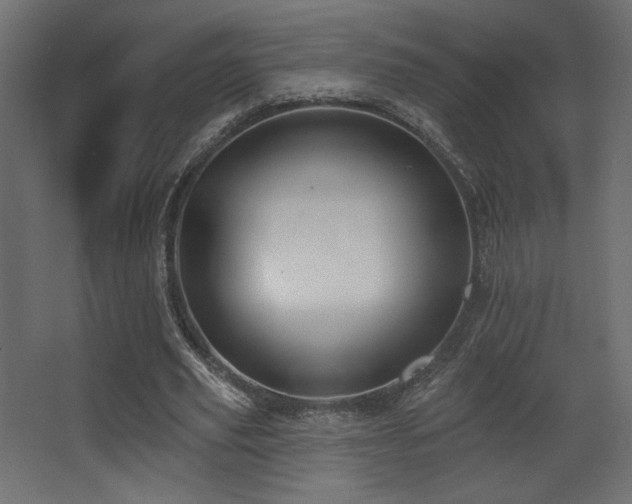 X0000068290629200604211138