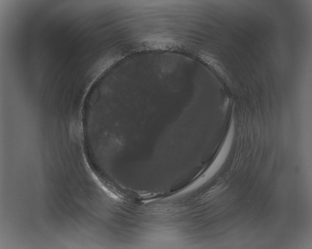 X0000068290630200604211138