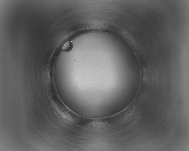 X0000068290636200604211138