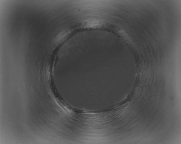 X0000068290640200604211138