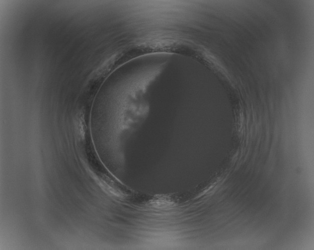 X0000068290644200604211138