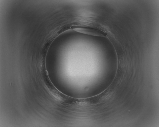 X0000068290645200604211138