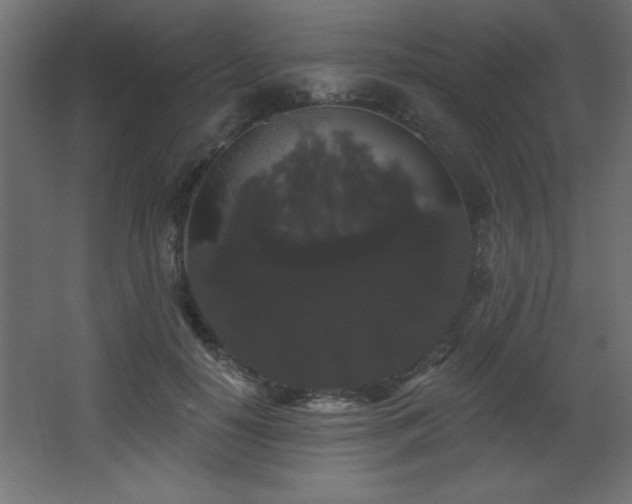 X0000068290650200604211138