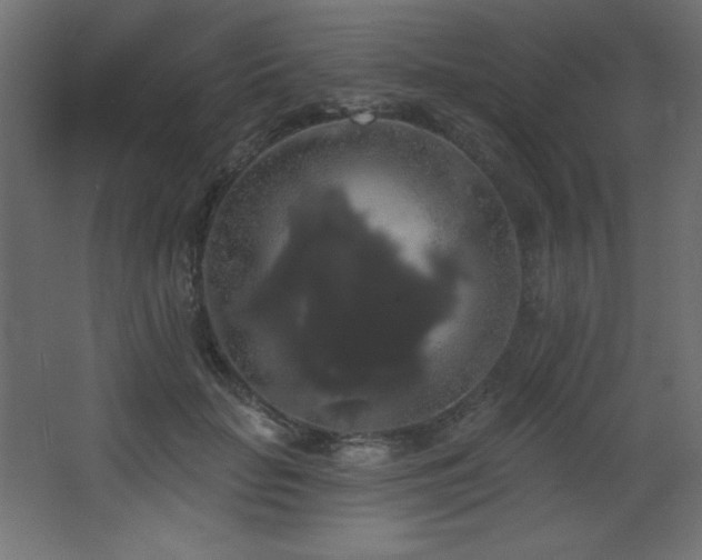 X0000068290653200604211138
