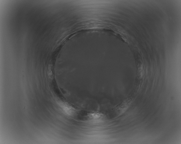 X0000068290654200604211138