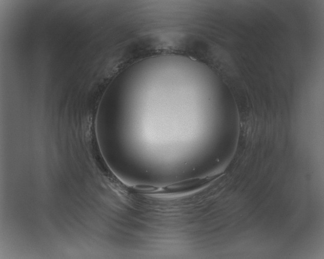 X0000068290660200604211138