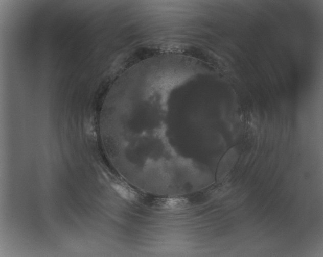 X0000068290663200604211138
