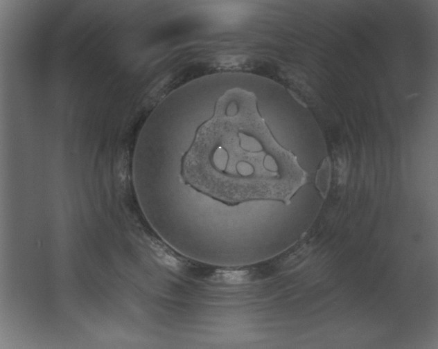 X0000068290665200604211138