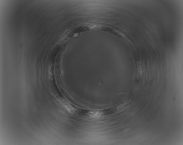 X0000068290667200604211138