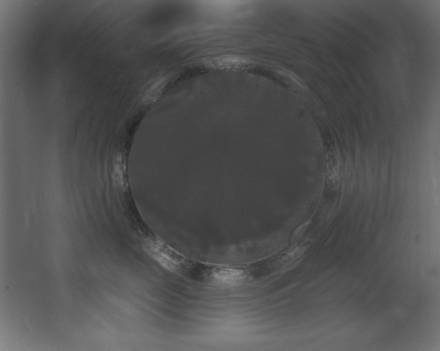X0000068290669200604211138