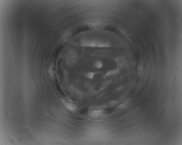 X0000068290671200604211138