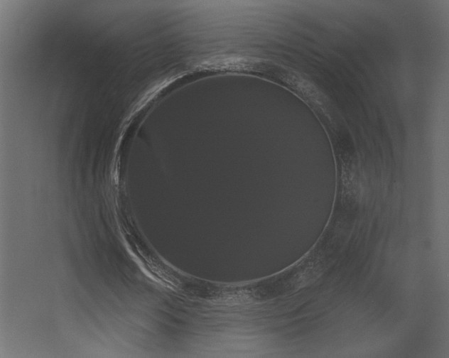 X0000068290674200604211138