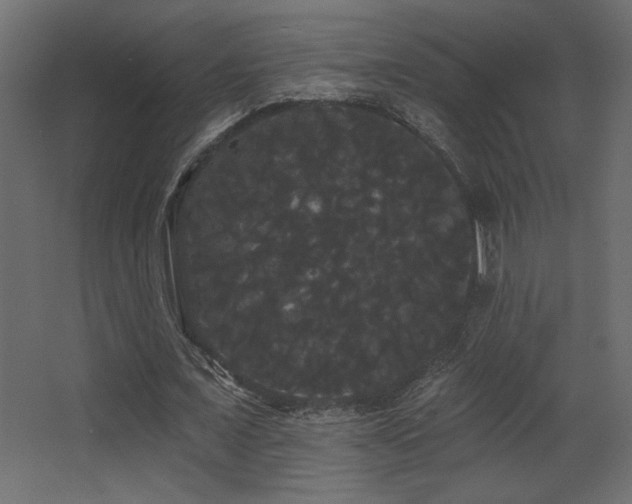 X0000068290675200604211138