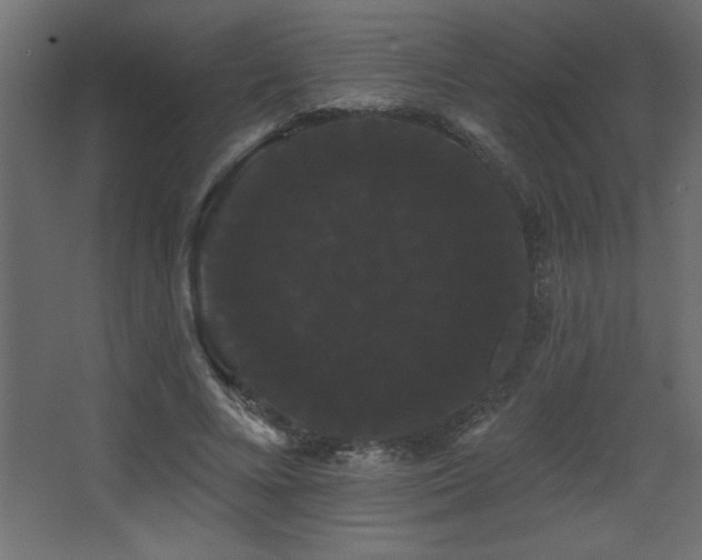 X0000068290688200604211137