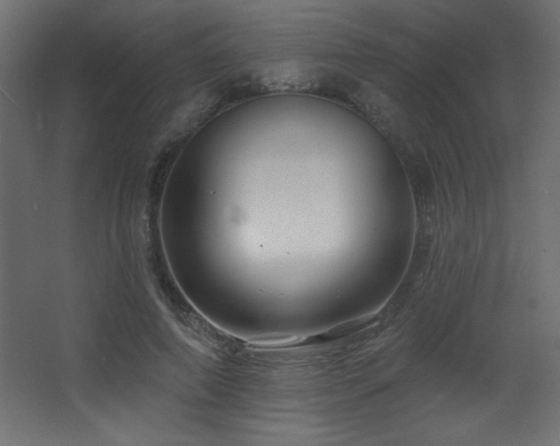 X0000068290690200604211137