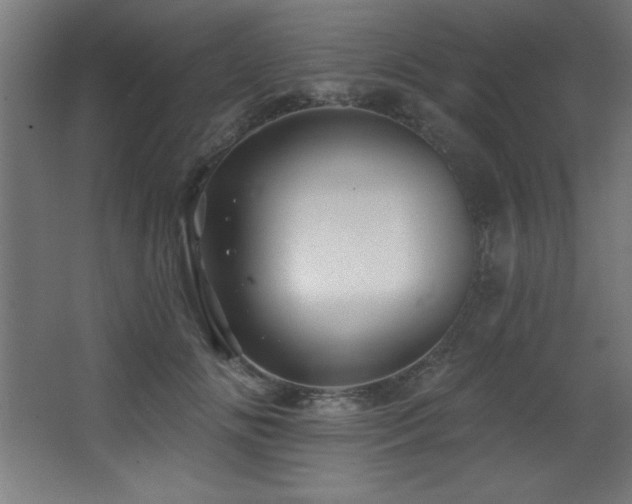 X0000068290702200604211137