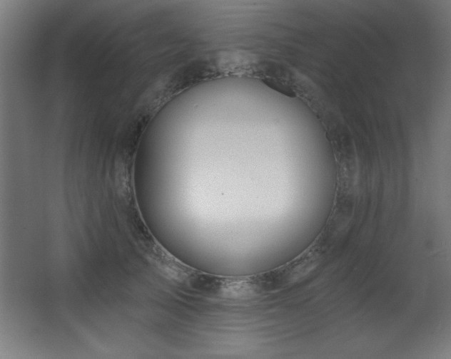 X0000068290705200604211137