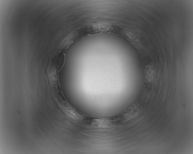 X0000068290713200604211137