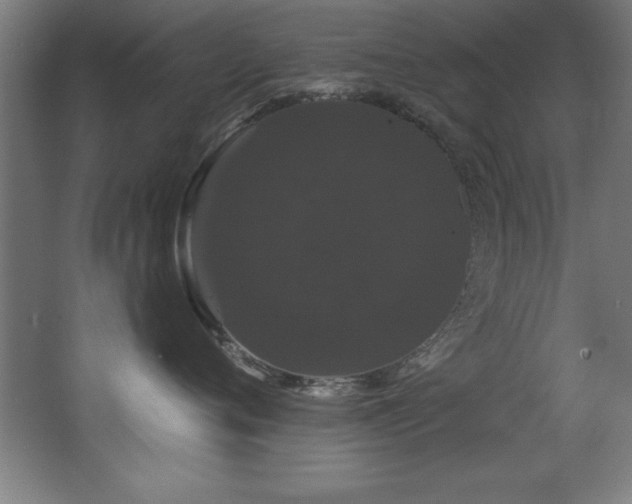 X0000068290720200604211137