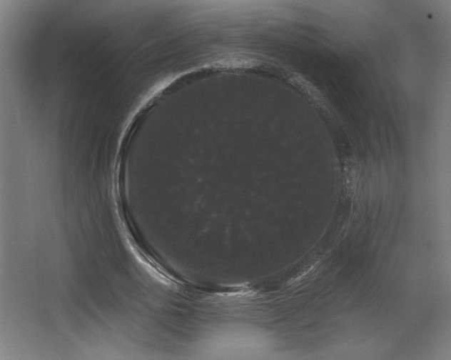 X0000068290726200604211136