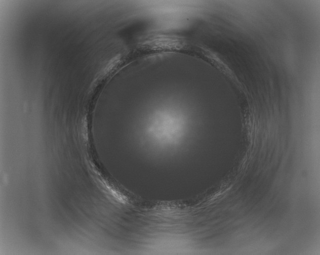 X0000068290729200604211136