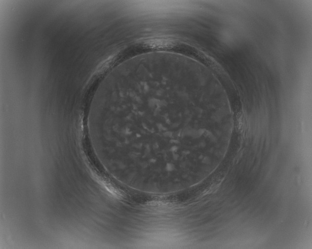 X0000068290733200604211136