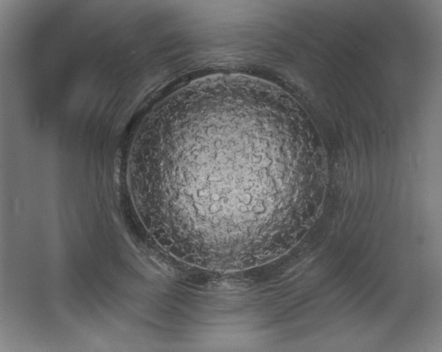 X0000068290739200604211136