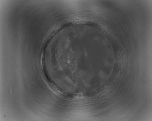 X0000068290742200604211136