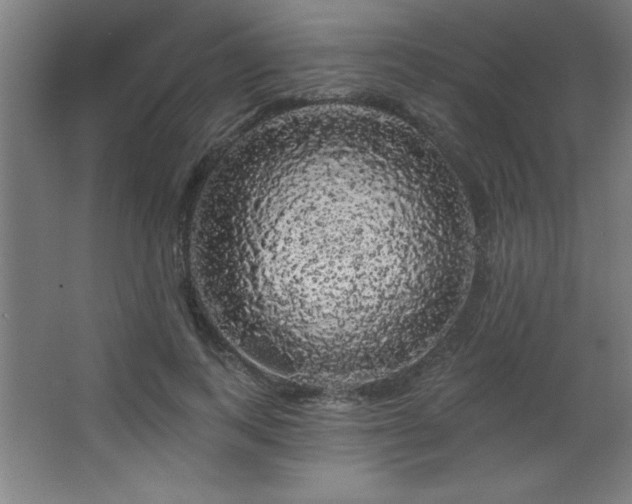 X0000068290743200604211136