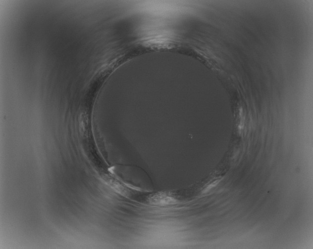 X0000068290747200604211136