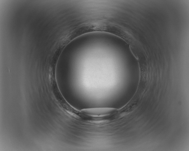 X0000068290748200604211136