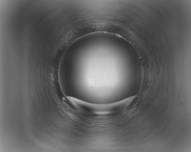 X0000068290750200604211136