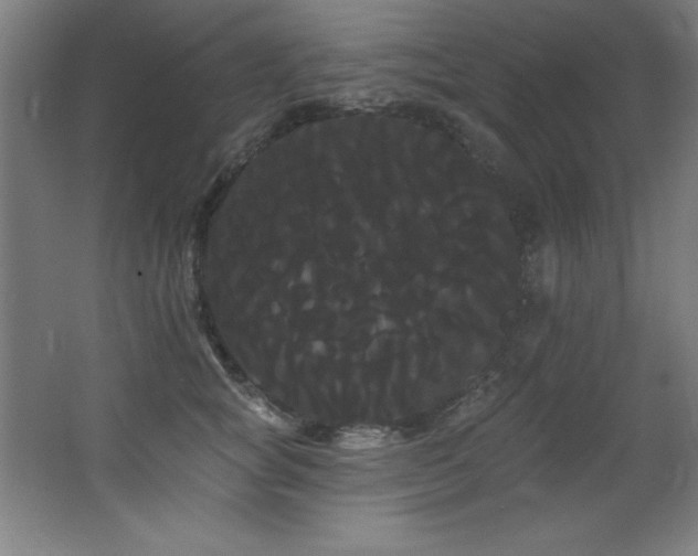 X0000068290757200604211137
