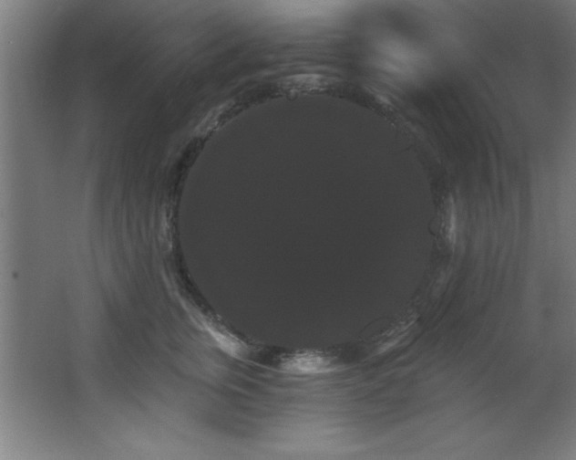 X0000068290759200604211137