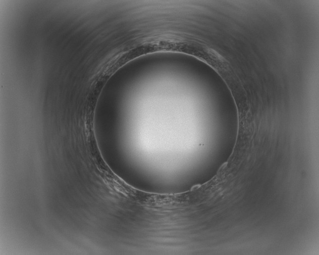 X0000068290774200604211136
