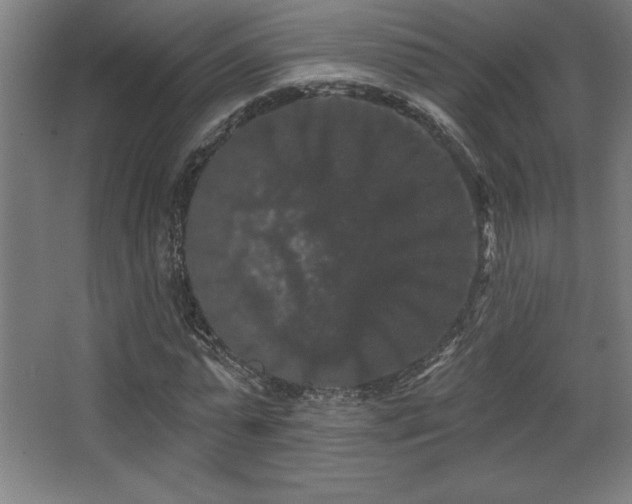 X0000068290775200604211136