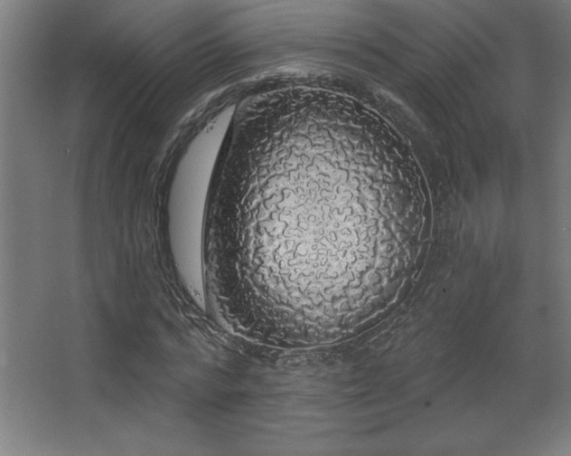 X0000068290776200604211136