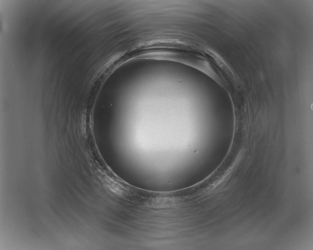 X0000068290777200604211136
