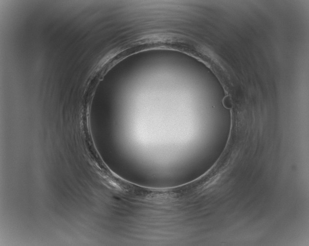 X0000068290778200604211136
