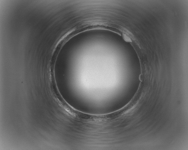 X0000068290782200604211136